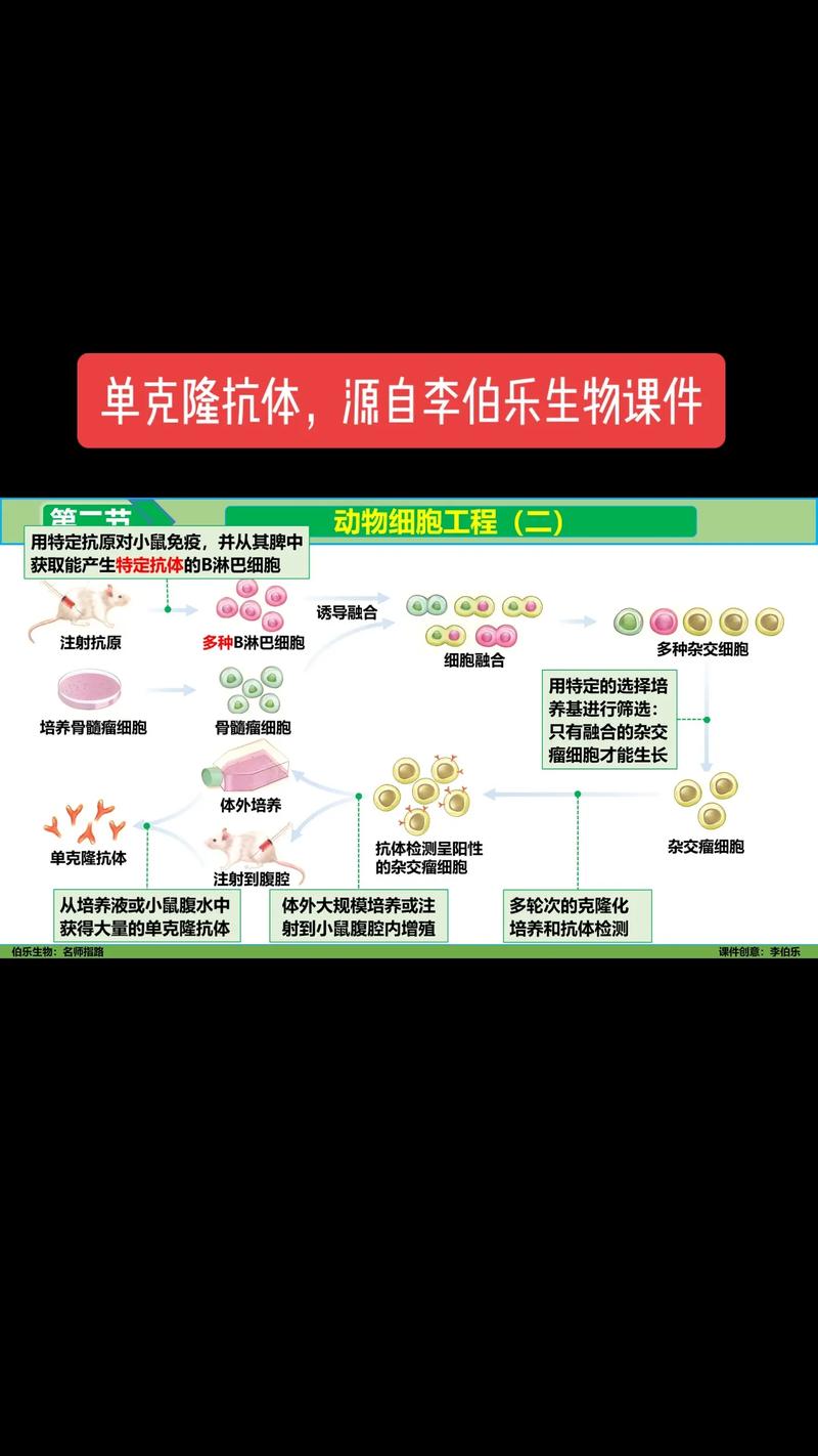 探索未来生物科技的奥秘——沃森生物科技使用技巧分享