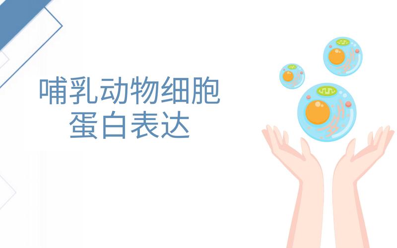 山东沃森生物科技有限公司:以生物科技引领未来