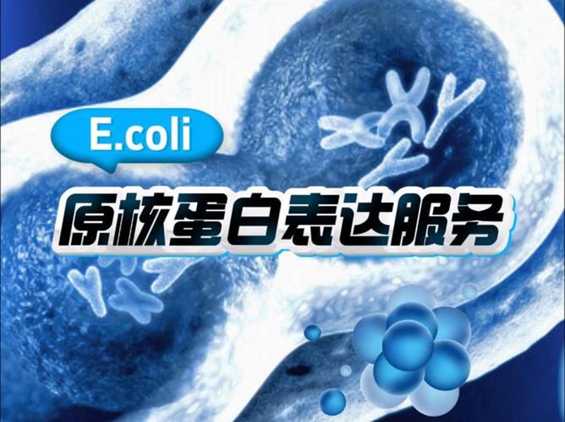 蛋白表达服务